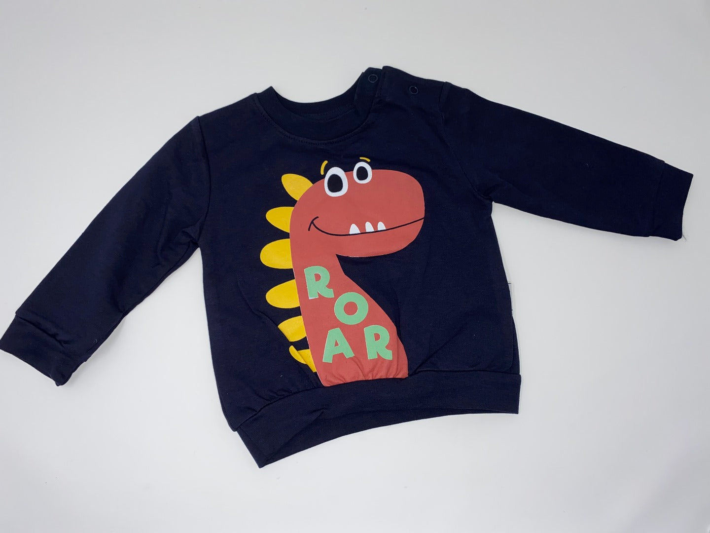 Jungs Baby / Kinder Sweat Shirt Pullover Dinosaurier Dinos Langarm