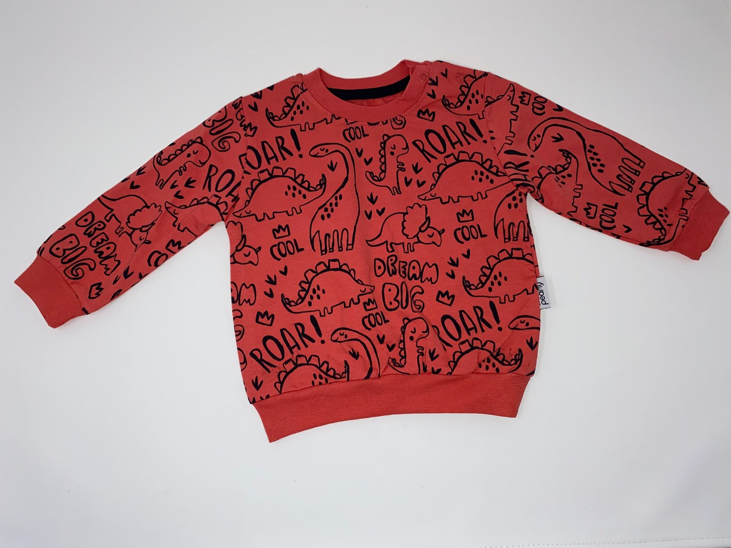 Jungs Baby / Kinder Sweat Shirt Pullover Dinosaurier Dinos Langarm